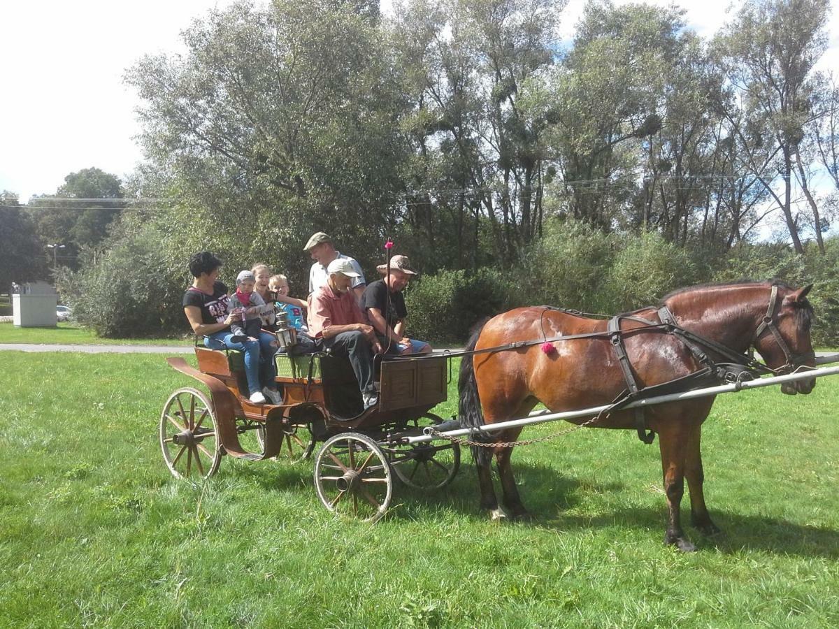 Rybczewice Agroturystyka U Krystyny מראה חיצוני תמונה